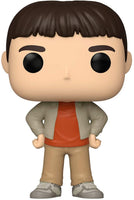 Funko Pop! Movies: Dumb & Dumber - Casual Lloyd